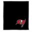 Picture of KR Strikeforce NFL Shammy Pad Tampa Bay Buccaneers
